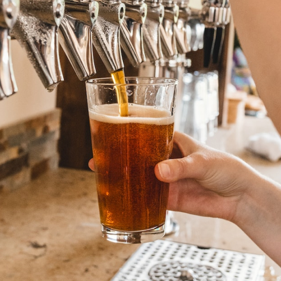 Linie karm 1 menu 01